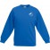 color:royal blue