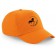 color:orange