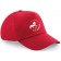 color:classic red