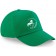 color:kelly green
