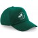 color:bottle green