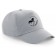 color:light grey